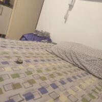 17613182828594505316330330214605 68fb959b8